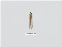 藏品(蟻蛉77)的圖片